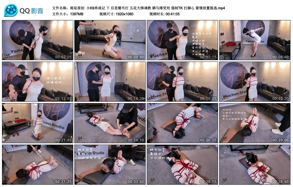 【雨辰原创】小K9养成记（下）-缚乐绳艺